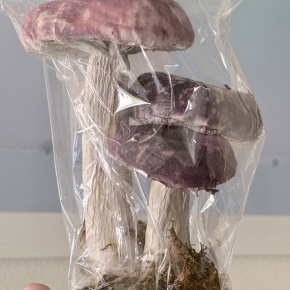 💎Purple Velvet Mushroom Patch - Picture 4 of 5